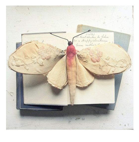 Mister Finch Workshop Voucher