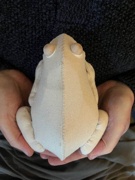 Frog Workshop with Mister Finch Sunday August 9th 2026
