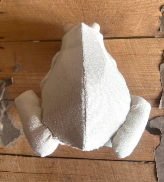 Frog Workshop with Mister Finch Sunday August 9th 2026