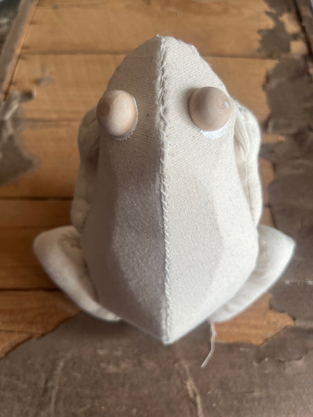 Frog Workshop with Mister Finch Sunday August 9th 2026