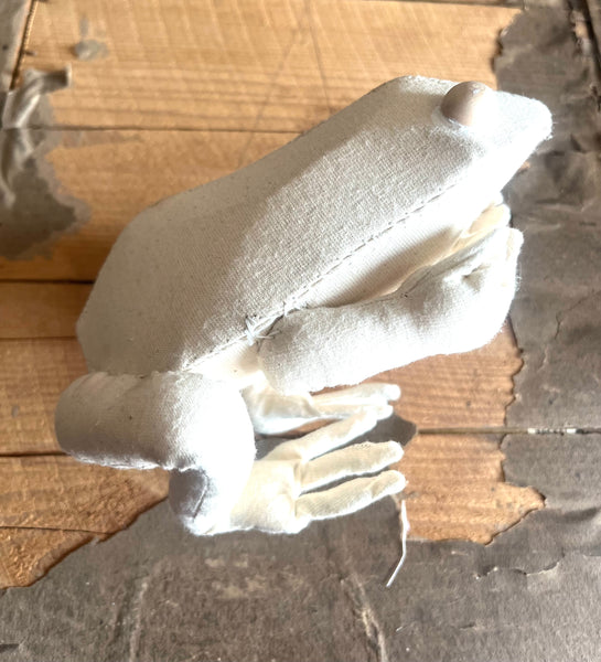 Frog Workshop with Mister Finch Sunday August 9th 2026