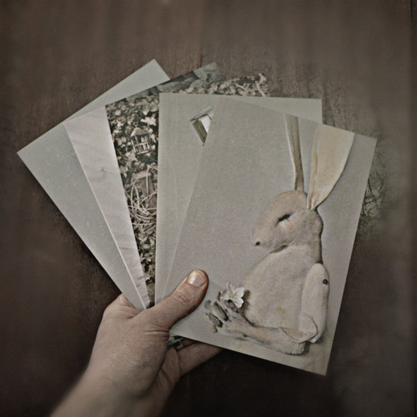 5 x Greetings Card By Mister Finch (Series 2)