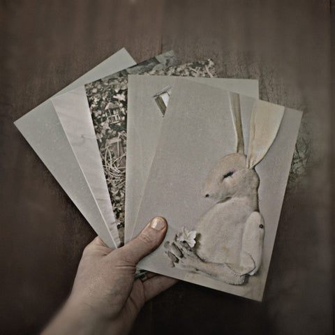5 x Greetings Card By Mister Finch (Series 2)