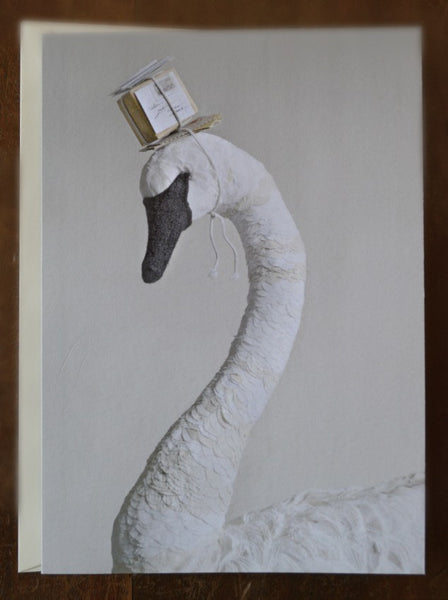 Swan With Post  Card By Mister Finch